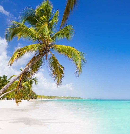 Imagem ilustrativa do destino Punta Cana