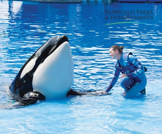 Figura de ilustração do card