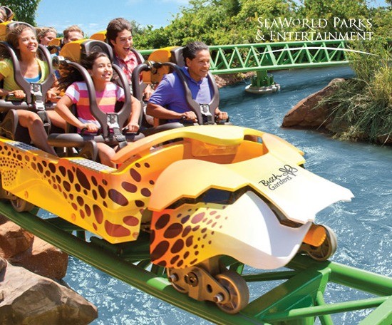 Figura de ilustração do card