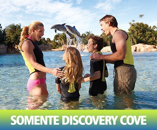 Figura de ilustração do card