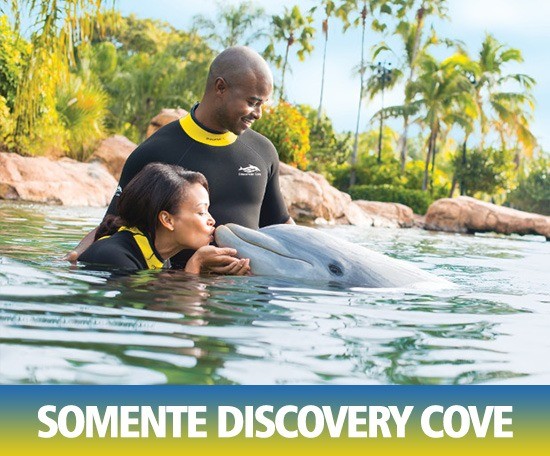 Figura de ilustração do card