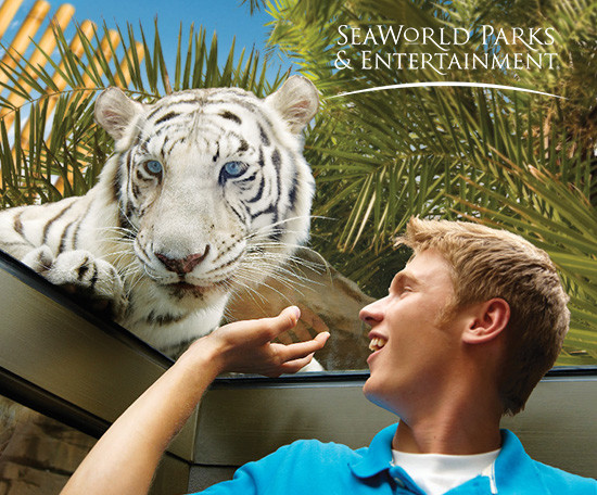 Imagem ilustrativa do destino 